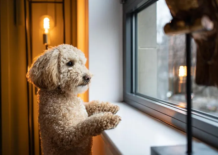 The Arran - Your Stylish Scottish Getaway! Appartement Glasgow