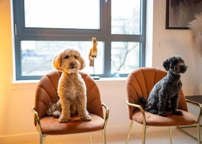 Appartamento The Arran - Your Stylish Scottish Getaway! *