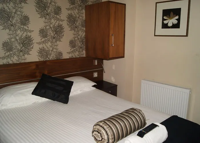 The 3* Драймен