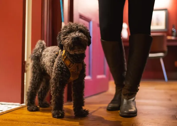 Apartman Huntly House - A Like No Other Glasgow