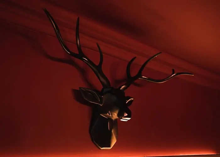 Huntly House - A Like No Other *