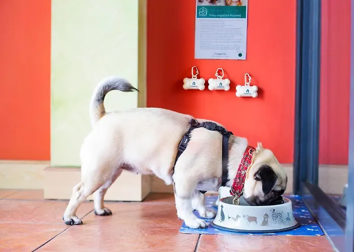 Campanile Secc Hydro 3* グラスゴー