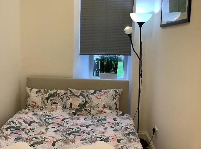 Ground Floor With Garden 公寓 格拉斯哥