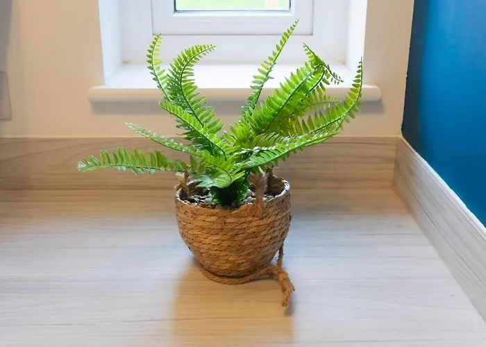 Stylish House With Private Parking *