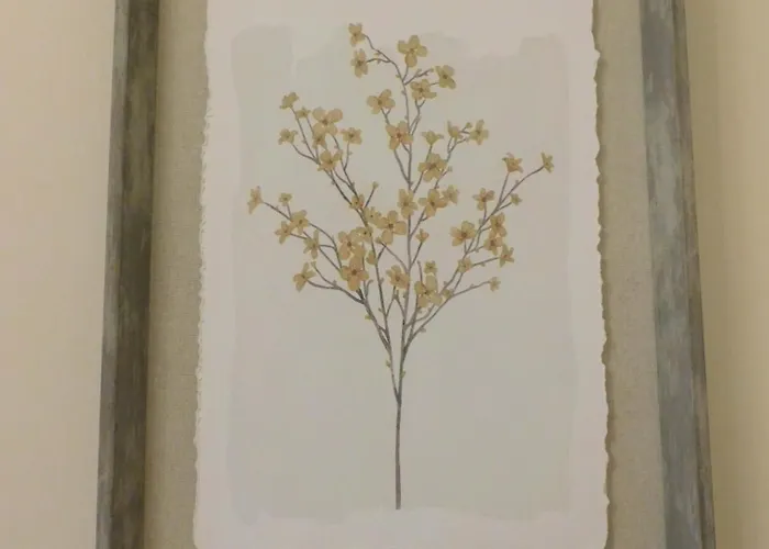 Beautiful & Spacious 2 Bed In West End