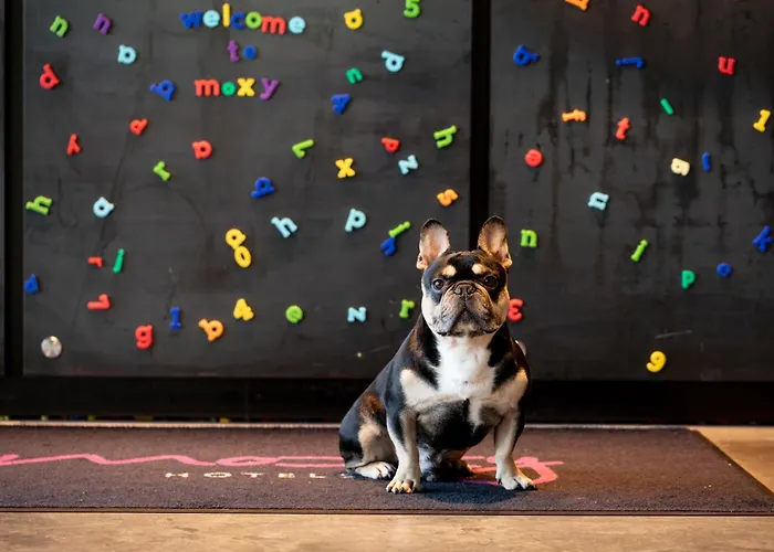 Hotel Moxy Merchant Glasgow