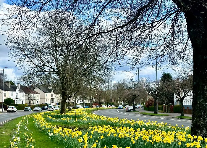 Modern Style , Separate Entrance * 格拉斯哥