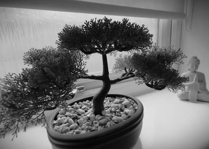 Appartamento Signature - Huntley House *