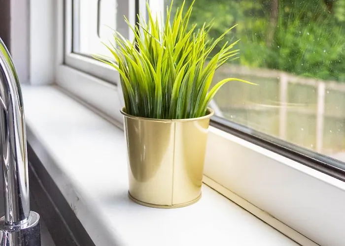 Campsie View Casa vacanze