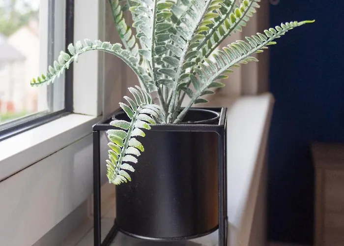 Feriehus Campsie View Glasgow