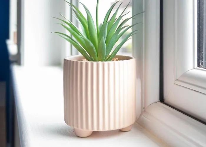 Holiday home Campsie View *