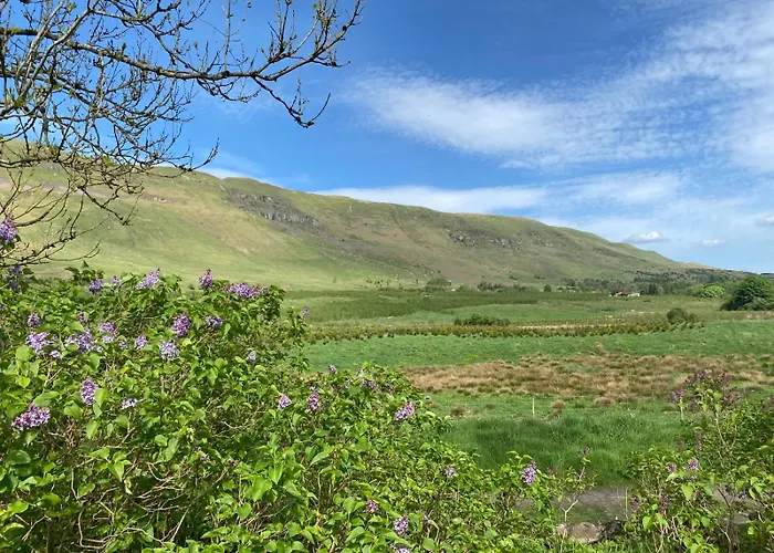 The Fells - Campsie Luxury Pods With Hot Tub Οργανωμένο κάμπινγκ *