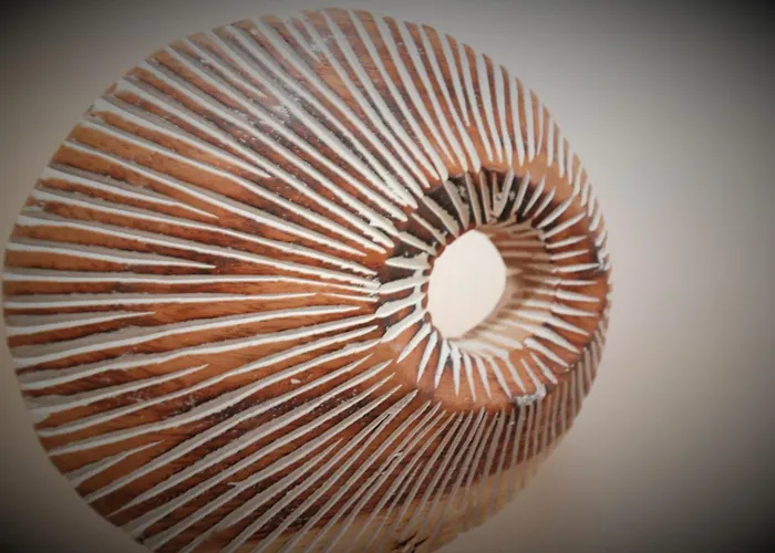 Apartment Signature - Morrison House Glasgow