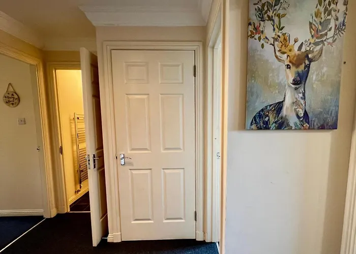 Stylish Modern Flat With Juliet Balcony & Parking Apartment