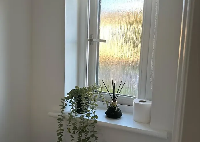 Black Daisy Apartamento Glasgow