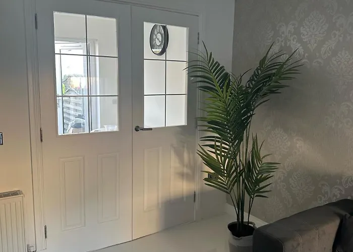 Black Daisy * גלאזגו