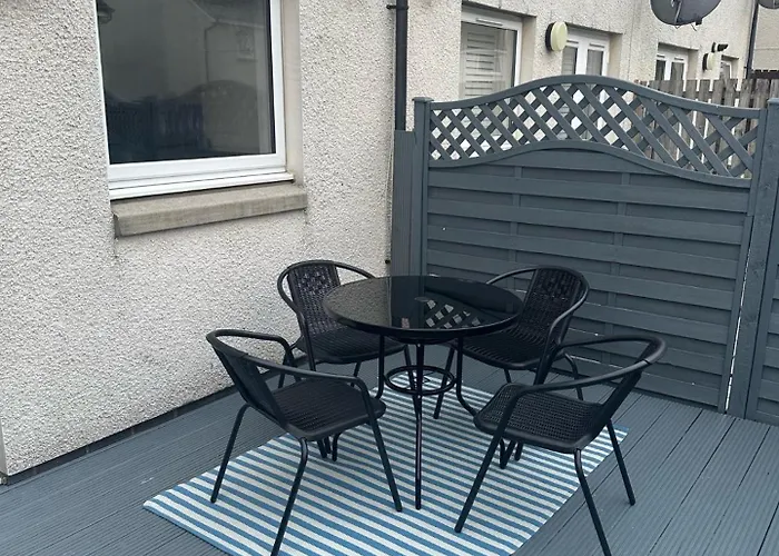 Black Daisy * Glasgow