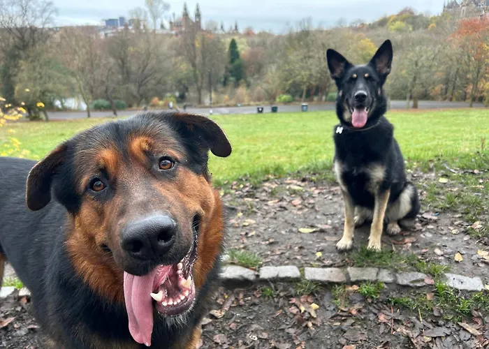 Large Cosy In G3 Homestay