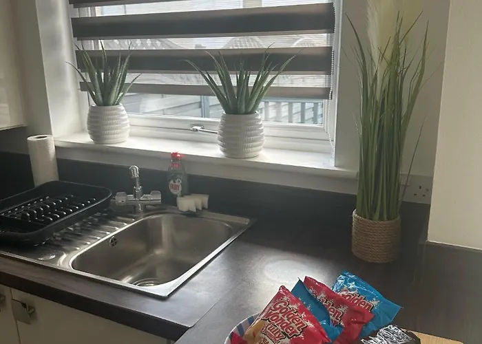 Black Daisy * גלאזגו