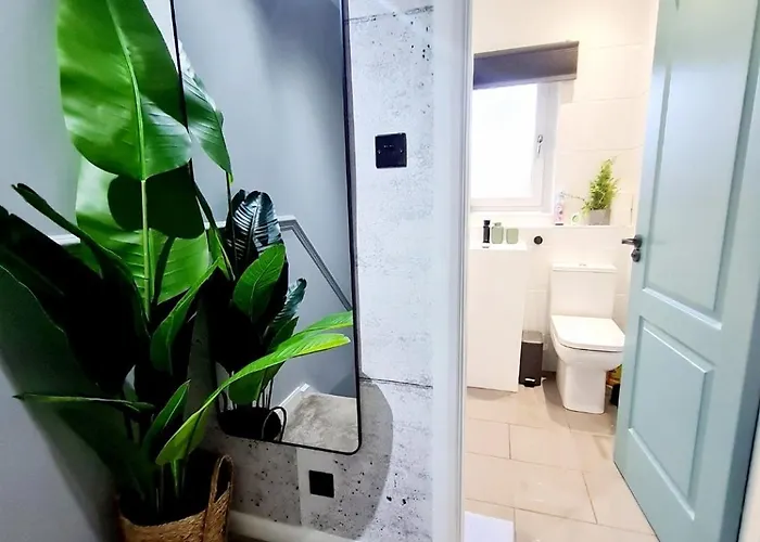 Bright 3br Walking Distance To Town - Free Parking * Glasgow