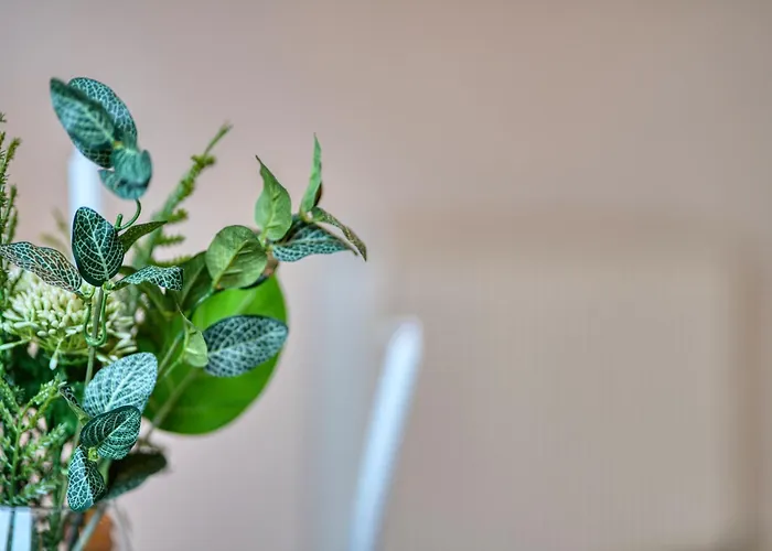 2br Flat Location With Free Parking Apartament *