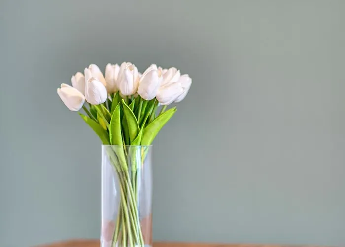 2br Flat Location With Free Parking 公寓 格拉斯哥