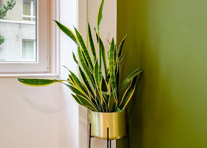 Newly Furnished Flat 4 Minutes Walk To Metro