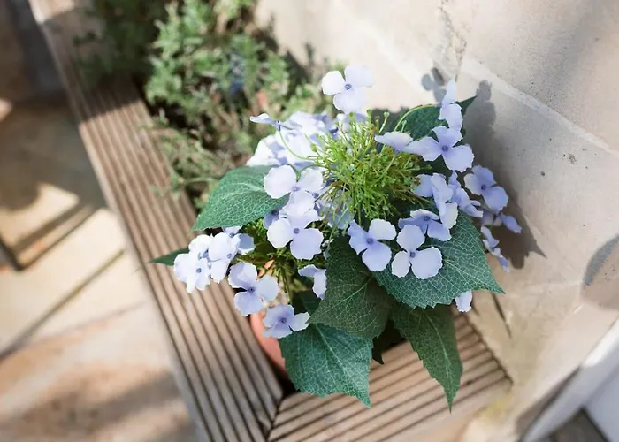 Apartament Elegant West End Flat In