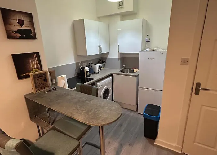 Cozy, Modern Flat In Govan *