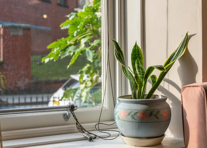 Unique Victorian In Apartamento *