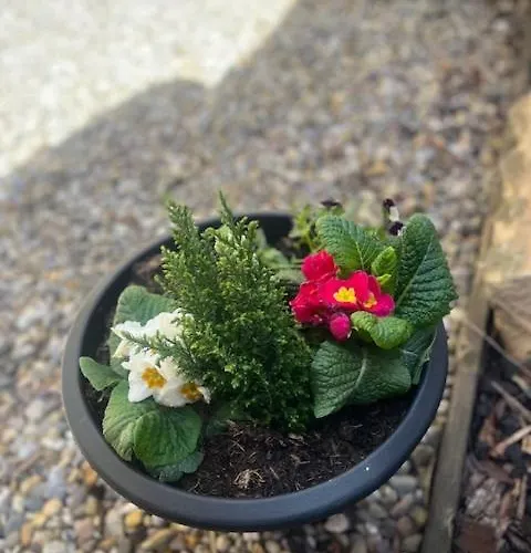 Ground Floor With Garden * 格拉斯哥