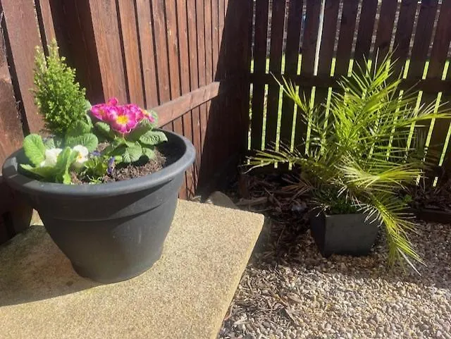 Ground Floor With Garden