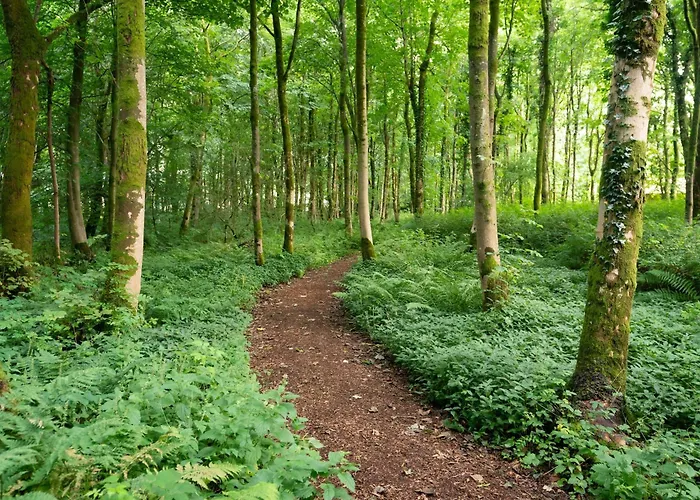 Cosy Cute With Large Veranda & Outdoor Bath