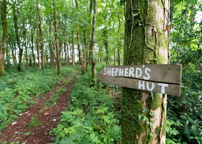 Cosy Cute With Large Veranda & Outdoor Bath גלאזגו