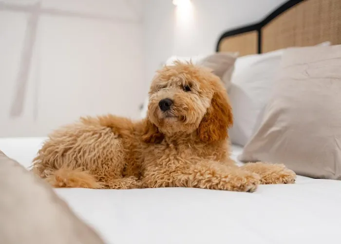 Hamilton - Private Main Door 1br * Glasgow