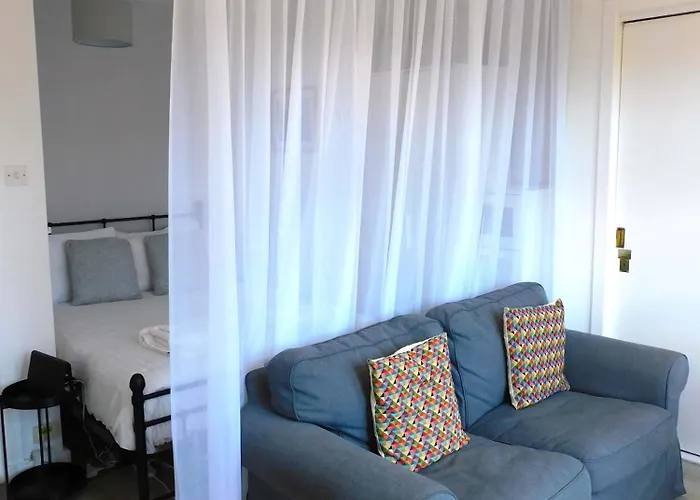 Modern Bright In South