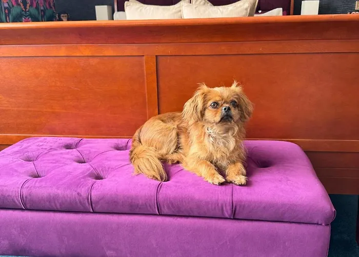 Gasthof Finn Village - Loch Lomond - The Jungle With A Private Hot Tub 3*