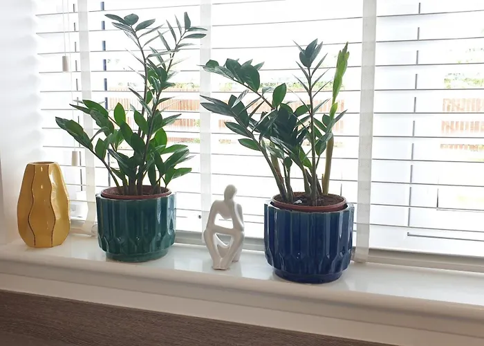 Apartment Entire Spacious 3-bed Family Home, Centre, Free Parking, Garden *