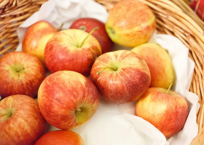 Vendégház The Belhaven