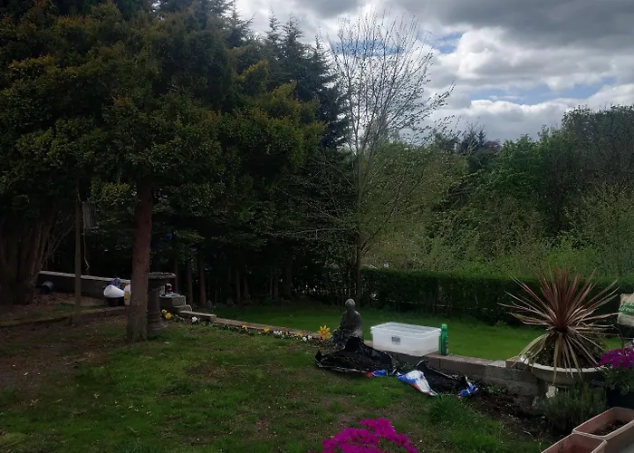 Busby Apartments Busby