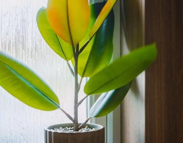 Casa de Férias Jw Executive Aparthouse *