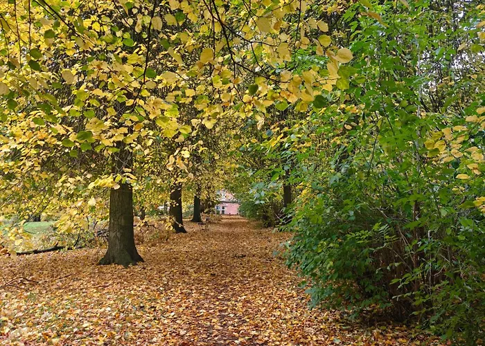 Apartment Newly Renovated West End *