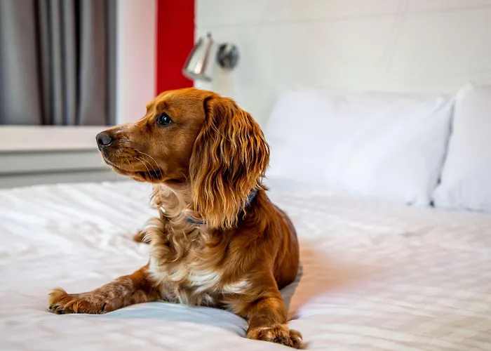 Hotel Ibis Styles Glasgow