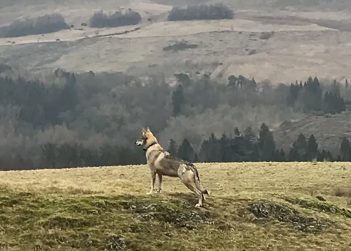 The West Highland Way 5*