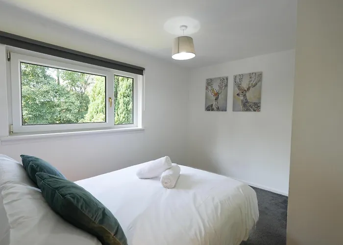 公寓 Modern 2 Bedroom Platinum Pad