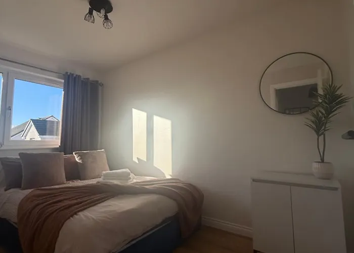 Black Daisy * Glasgow