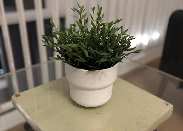 The Ovo Hydro Penthouse With Free Parking Apartment