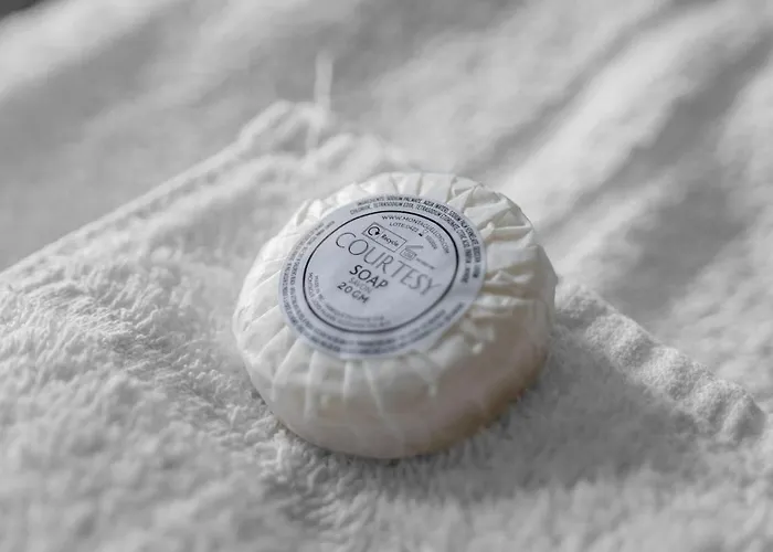 Apartment Executive 3 Bedroom - Corporate And Contractor