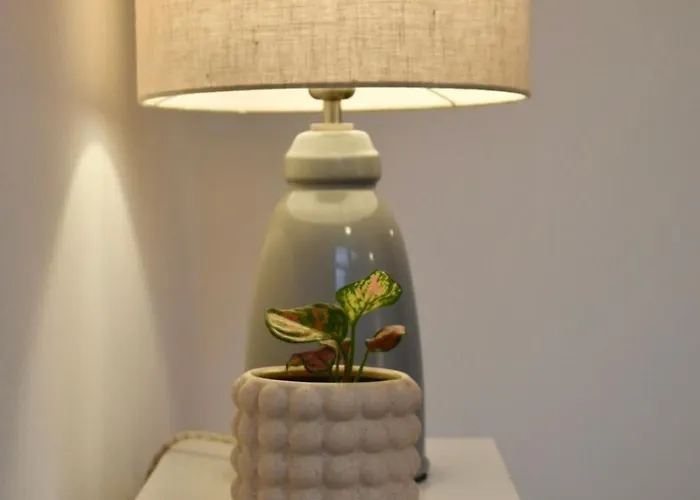 Luxury Historic City-centre Flat & Free Parking Appartamento Glasgow