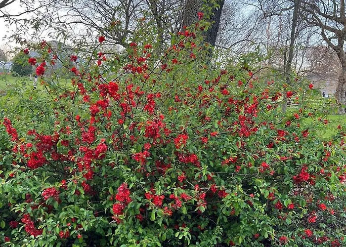 Heart Of West End Apartment, Glasgow